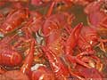 Guy Fanguy - Artist - Photographer - Guy Fanguy - Crawfish - Louisiana (10).jpg Size: 59406 - 2